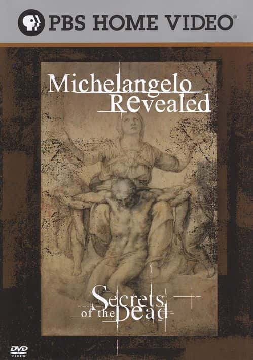 ¼Ƭ׿ʻ޽ Michelangelo RevealedĻ/Ļ