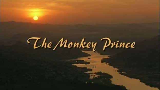 ¼Ƭ The Monkey PrinceĻ/Ļ