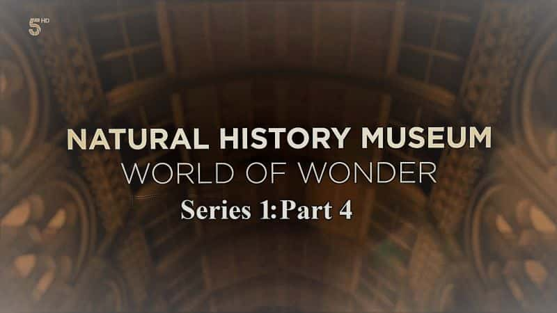 ¼ƬȻʷ漣磺ϵ 1  4  Natural History Museum World of Wonder: Series 1 Part 41080P-Ļ/Ļ