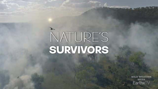 ¼ƬȻҴߣEarthxTV Nature's Survivors (EarthxTV)1080Pȫ1-Ļ/Ļ