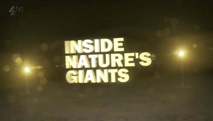 ¼Ƭ߽Ȼˣϵ 2 Inside Natures Giants: Series 2720Pȫ3-Ļ/Ļ