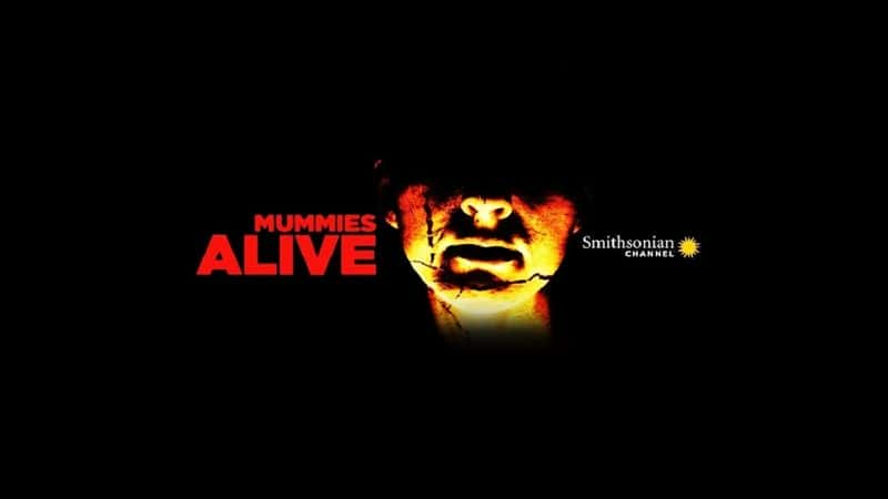 ¼Ƭŵľϵ 1 Mummies Alive: Series 1Ļ/Ļ