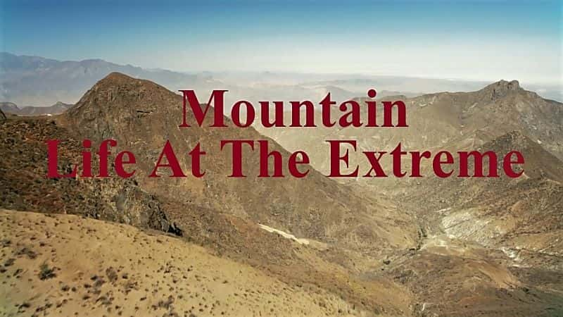 纪录片《极限山地生活：系列 1 Mountain Life at the Extreme: Series 1》[无字][BT][1080P]资源下载