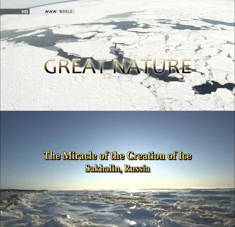 ¼ƬĴ漣ֵ The Miracle of the Creation of Ice: SakhalinĻ/Ļ