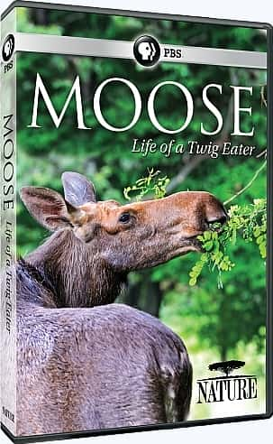 ¼Ƭ¹֦˵ Moose: Life of a Twig Eater1080P-Ļ/Ļ