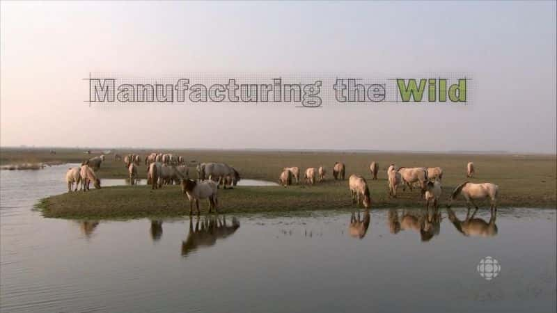 ¼ƬҰ Manufacturing the WildĻ/Ļ