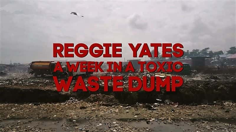 ¼ƬĻϵ 2׼Ү - жһ The Insider Series 2: Reggie Yates - A Week in a Toxic Waste DumpĻ/Ļ