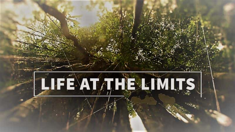 ¼Ƭϵ 1 Life at the Limits: Series 11080P-Ļ/Ļ