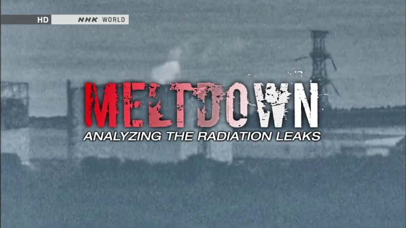 ¼Ƭۻ٣й© Meltdown: Analyzing the Radiation LeaksĻ/Ļ