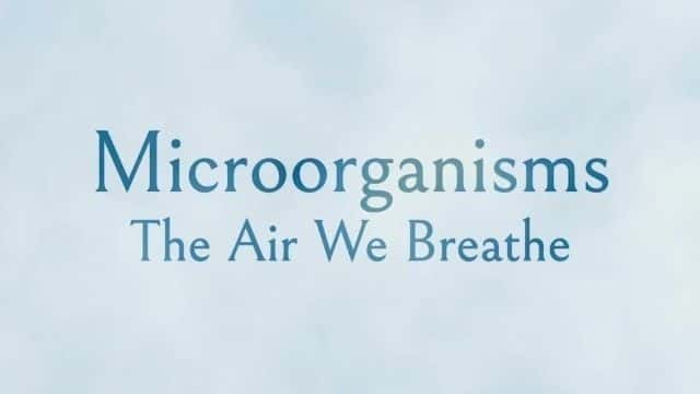 ¼Ƭ΢ǺĿ Microorganisms: The Air We Breathe1080Pȫ1-Ļ/Ļ