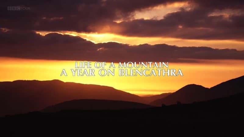 纪录片《山的一生：布伦卡斯拉的一年 Life of a Mountain: A Year on Blencathra》[无字][BT][DVD]资源下载