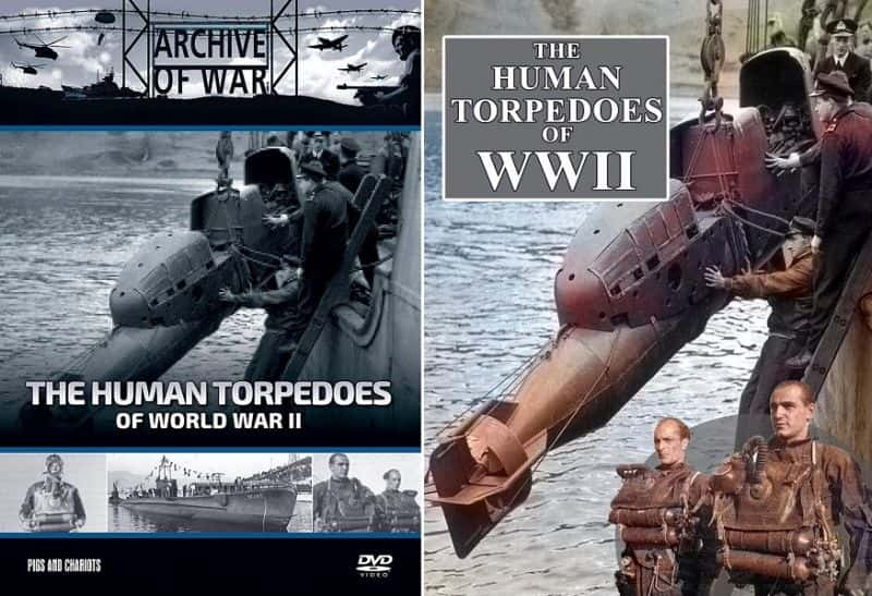 ¼Ƭڶս The Human Torpedoes of World War IIĻ/Ļ