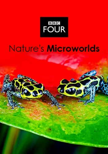 ¼ƬȻ΢ (BBC) Nature's Microworlds (BBC)ȫ13-Ļ/Ļ