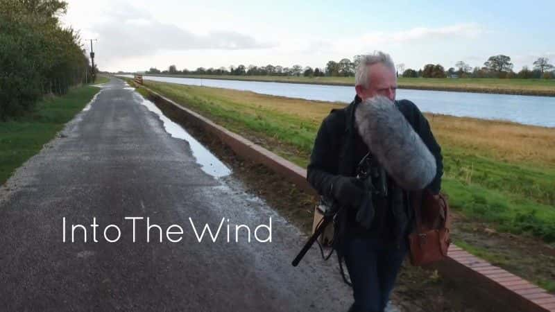 ¼Ƭ Into the Wind1080Pȫ1-Ļ/Ļ