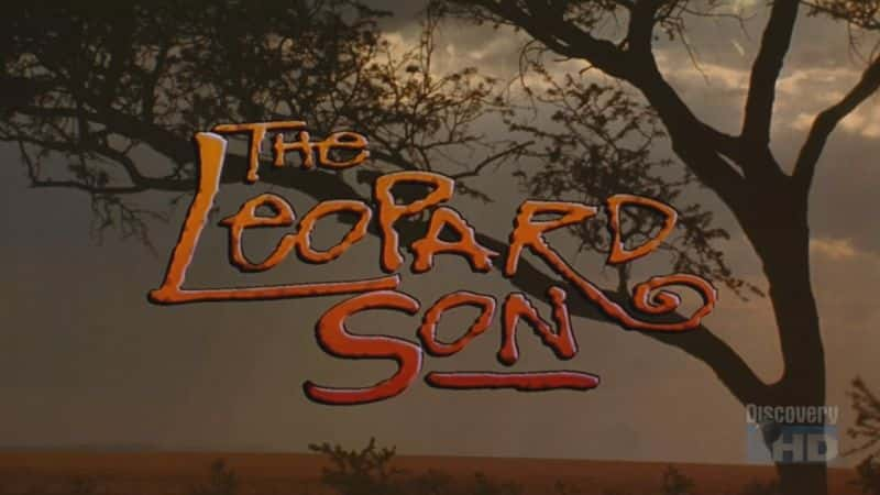 纪录片《豹子儿子 The Leopard Son》[无字][BT][1080P]资源下载