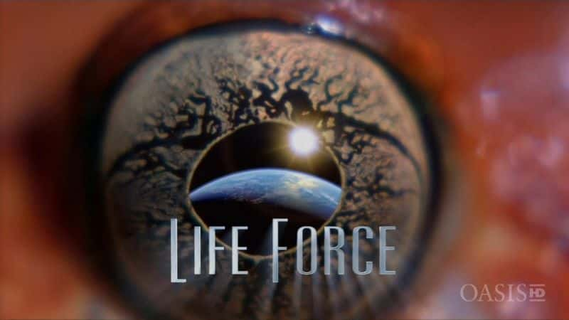 纪录片《生命力 Life Force》[无字][BT][720P]资源下载