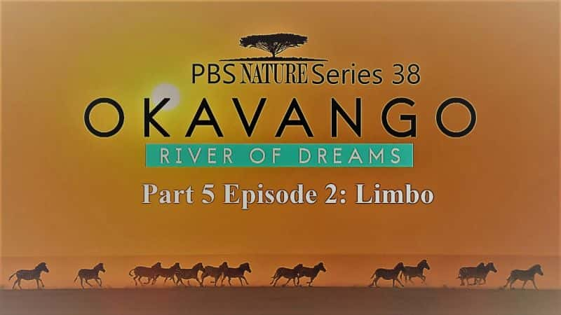 ¼ƬȻϵ 38  5 ֣¿꣺֮ӣ 2  Limbo Nature Series 38 Part 5: Okavango: River of Dreams :Episode 2 Limbo1080P-Ļ/Ļ