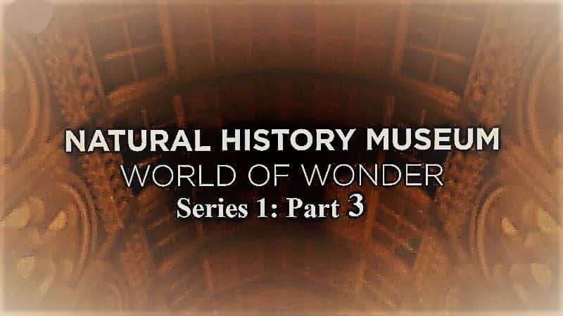 ¼ƬȻʷ漣磺ϵ 1  3  Natural History Museum World of Wonder: Series 1 Part 31080P-Ļ/Ļ