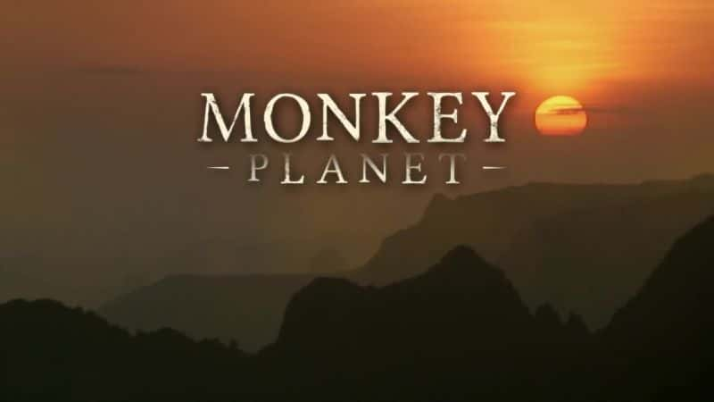 ¼ƬBBC Monkey Planet (BBC)ȫ3-Ļ/Ļ