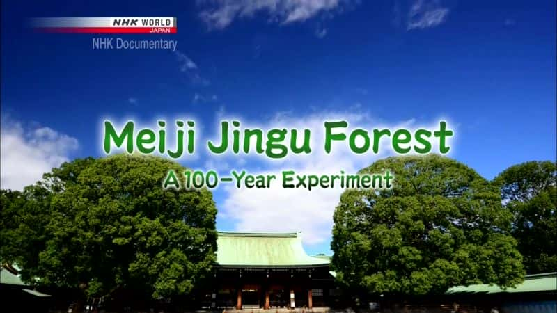 ¼Ƭɭ֣100ʵ Meiji Jingu Forest: A 100-Year Experimentȫ1-Ļ/Ļ