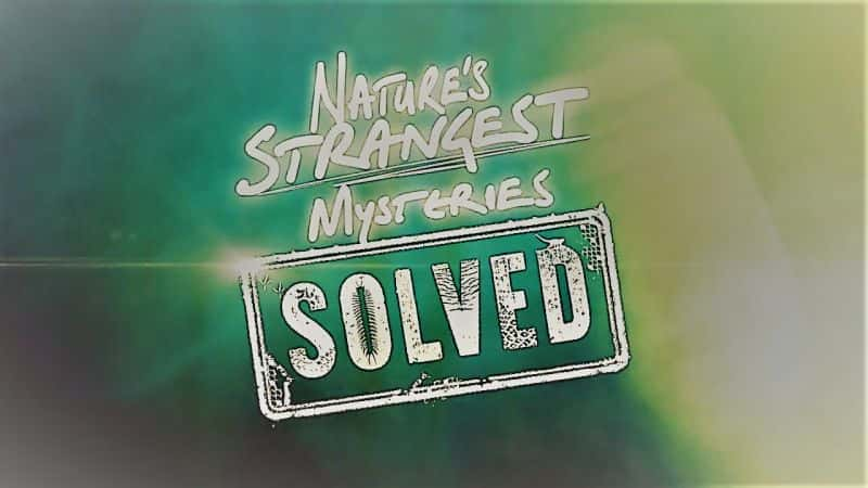 纪录片《解开大自然最奇怪的谜团第 20 部分：鳄鱼保镖 Nature's Strangest Mysteries Solved Part 20: Alligator Bodyguards》第1季全1集[自然][无字幕][720P][MP4][BT][资源下载]