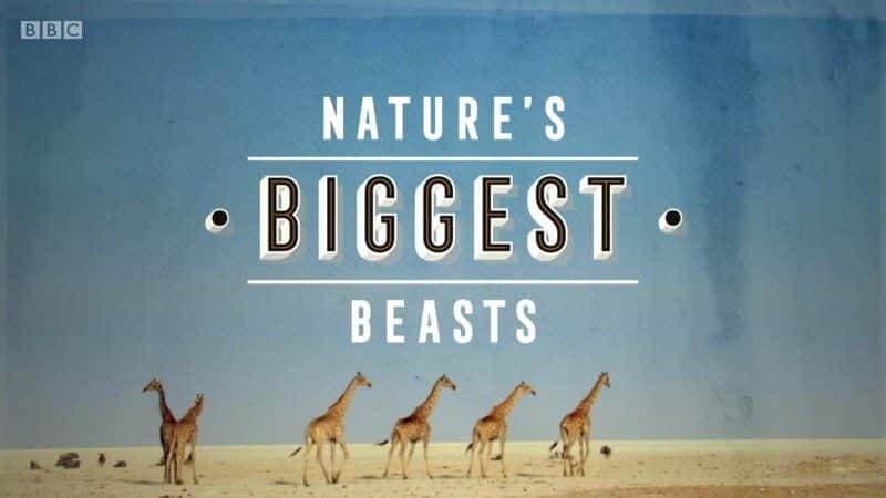 ¼ƬȻҰ Nature's Biggest Beastsȫ1-Ļ/Ļ