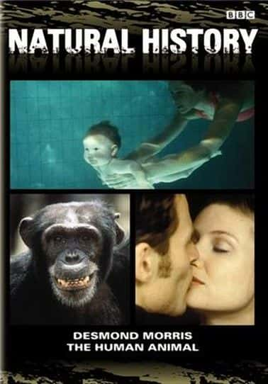 ¼ƬදBBC The Human Animal (BBC)Ļ/Ļ