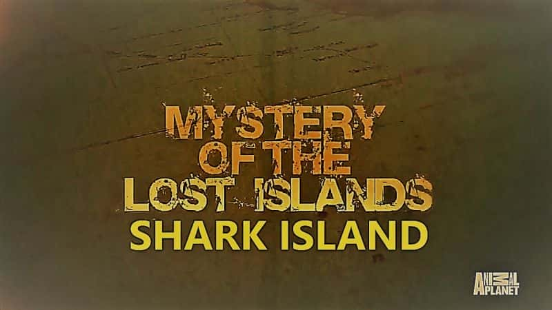 ¼ƬʧȺ֮ϵ1㵺 Mystery of the Lost Islands Series 1: Shark IslandĻ/Ļ