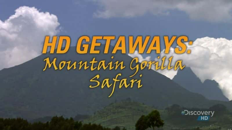 ¼ƬɽشҰ԰ Mountain Gorilla SafariĻ/Ļ