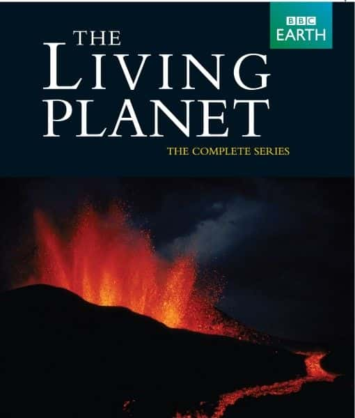 ¼ƬBBC The Living Planet (BBC)720Pȫ12-Ļ/Ļ