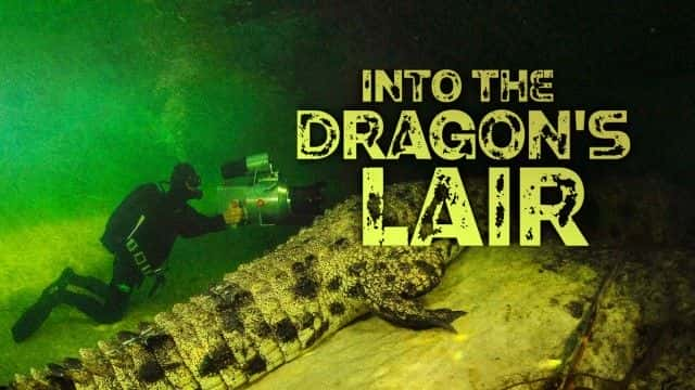 ¼ƬѨ Into the Dragon's Lair1080Pȫ1-Ļ/Ļ