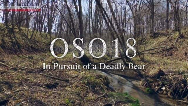 ¼Ƭ׷ In Pursuit of a Deadly Bear1080Pȫ1-Ļ/Ļ