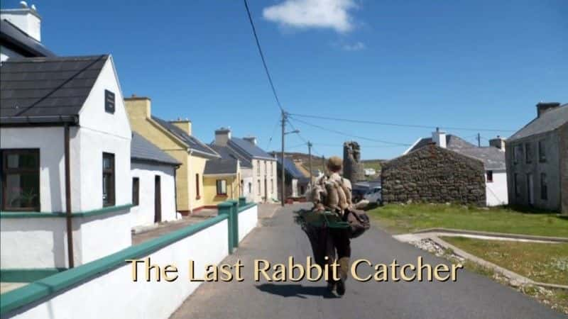 ¼ƬӲ The Last Rabbit Catcherȫ1-Ļ/Ļ