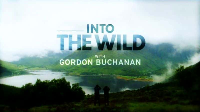 ¼Ƭǡһ߽Ұ Into the Wild with Gordon BuchananĻ/Ļ