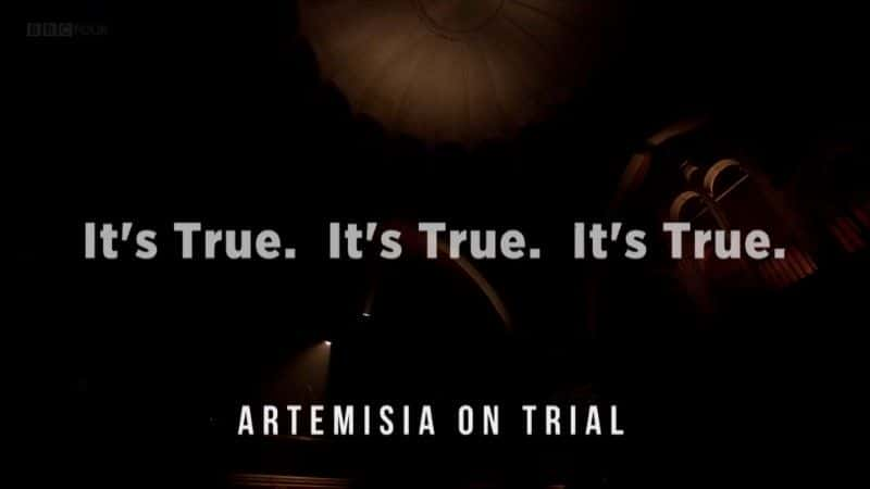 纪录片《是真的，是真的，是真的：阿尔泰米西娅受审 It's True, It's True, It's True: Artemisia on Trial》[无字] [BT][DVD画质]资源下载