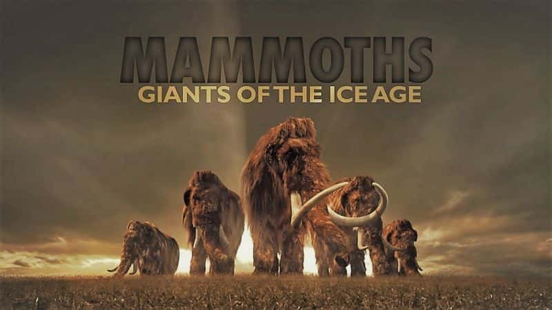 纪录片《猛犸象：冰河时代的巨人 Mammoths: Giants of the Ice Age》[无字][BT][1080P]资源下载