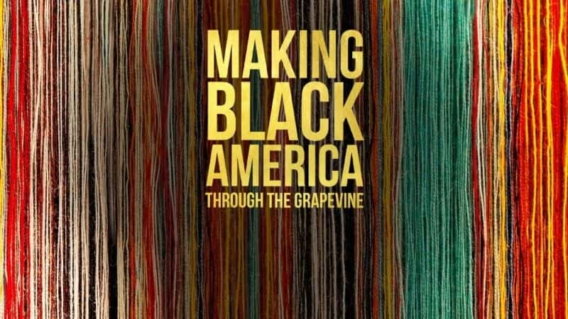 ¼ƬСϢ Making Black America: Through the Grapevine1080Pȫ1-Ļ/Ļ