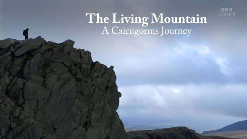 ¼Ƭɽķ֮ (BBC) The Living Mountain: A Cairngorms Journey (BBC)1080Pȫ1-Ļ/Ļ