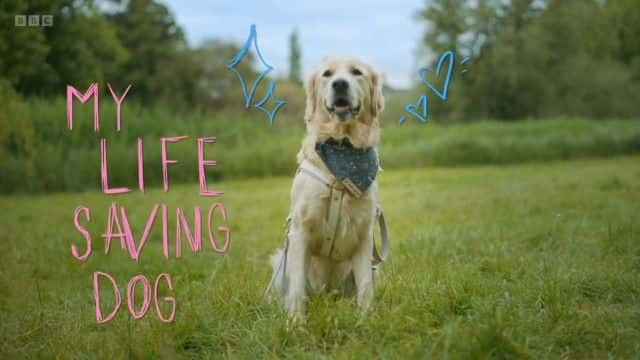 ¼Ƭҵľ My Life Saving Dog1080Pȫ1-Ļ/Ļ