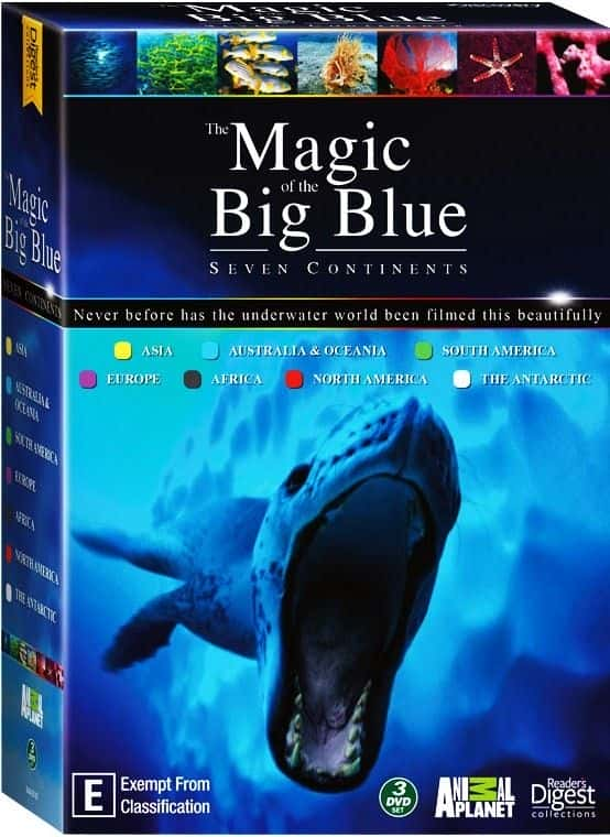 纪录片《蓝色巨人的魔力 The Magic of The Big Blue》[无字][BT][DVD]资源下载