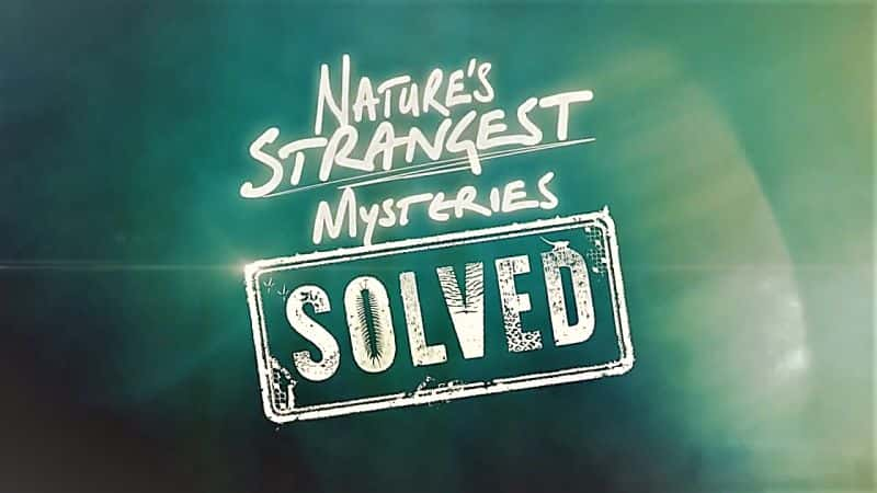 纪录片《解开大自然最奇怪的谜团：系列 1 第 18 部分 无响尾蛇 Natures Strangest Mysteries Solved: Series 1 Part 18 Rattleless Rattlesnake》[无字][BT][720P]资源下载