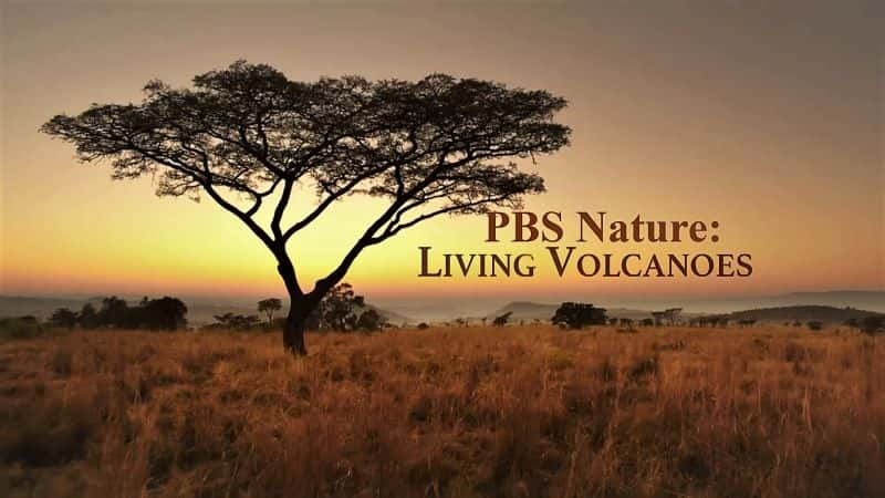 ¼ƬȻɽ Nature: Living Volcanoes1080P-Ļ/Ļ