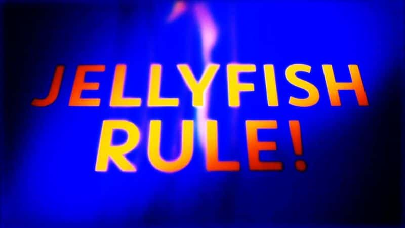 ¼Ƭˮĸ Jellyfish RuleĻ/Ļ