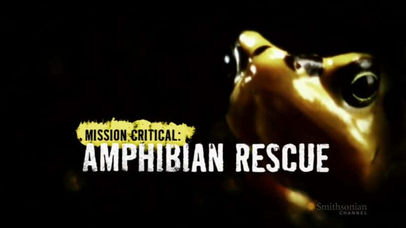 ¼ƬؼܶԮ Mission Critical: Amphibian RescueĻ/Ļ