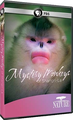 ¼Ƭغ Mystery Monkeys of Shangri-LaĻ/Ļ