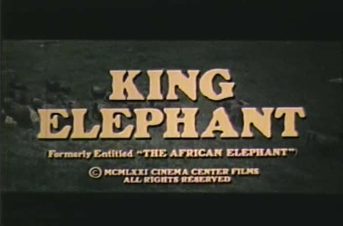 ¼Ƭ King ElephantĻ/Ļ