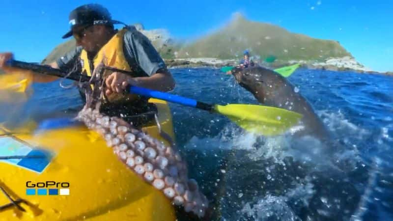 ¼Ƭ⿪Ȼֵŵ 19 ֣ӵ Nature's Strangest Mysteries Solved Part 19: Octopus ThrowdownĻ/Ļ