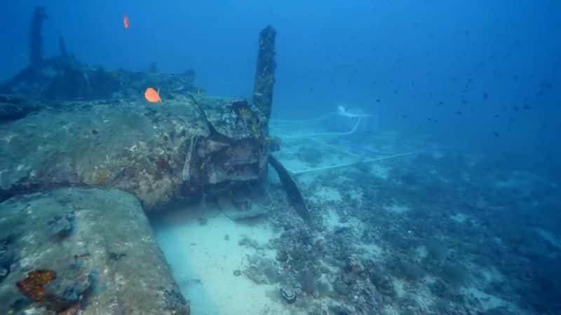 ¼Ƭ B-24 Last B-24Ļ/Ļ