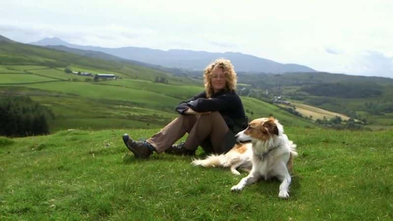 ¼Ƭء಼ҺҵȮ Kate Humble: My Sheepdog and MeĻ/Ļ