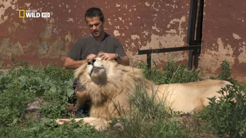 ¼Ƭġɭʨ Kevin Richardson: The Lion WhispererĻ/Ļ